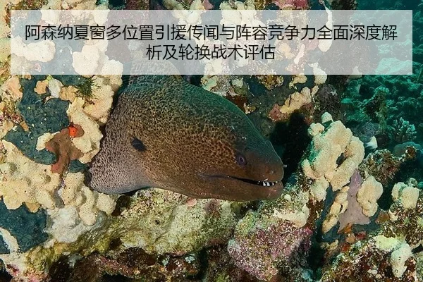 阿森纳夏窗多位置引援传闻与阵容竞争力全面深度解析及轮换战术评估