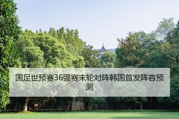 guo-zu-shi-yu-sai-qiang-sai-mo-lun-dui-zhen-han-guo-shou-fa-zhen-rong-yu-ce-2-799.jpg