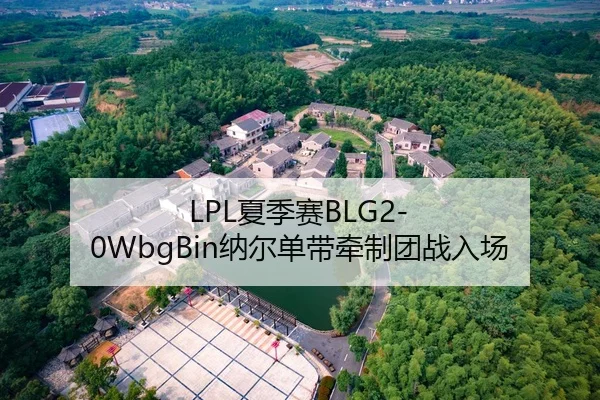 LPL夏季赛BLG2-0WbgBin纳尔单带牵制团战入场