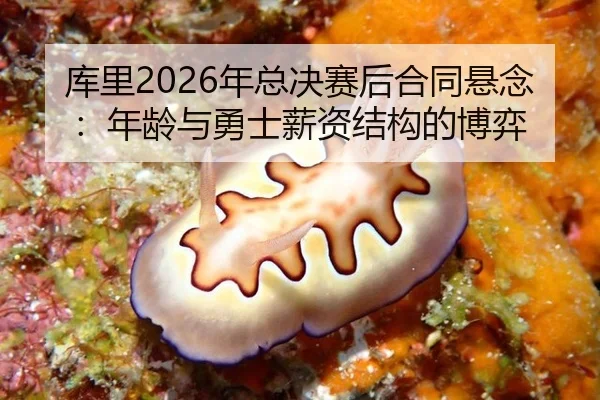 ku-li-nian-zong-jue-sai-hou-he-tong-xuan-nian-nian-ling-yu-yong-shi-xin-zi-jie-gou-de-bo-yi-2-394.jpg